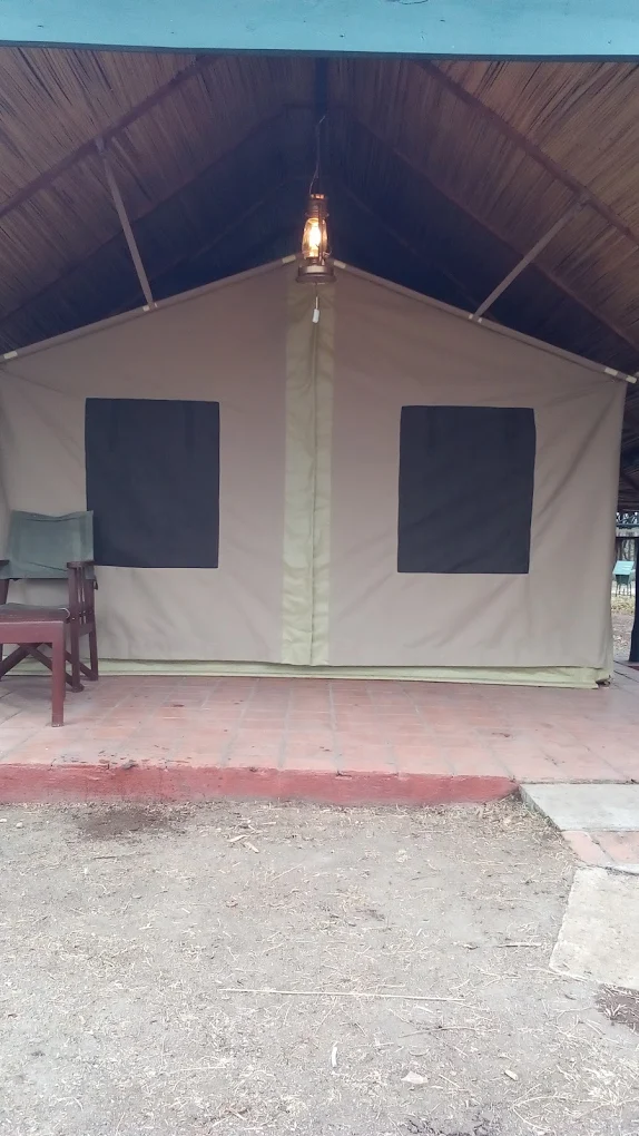 Camping Setup