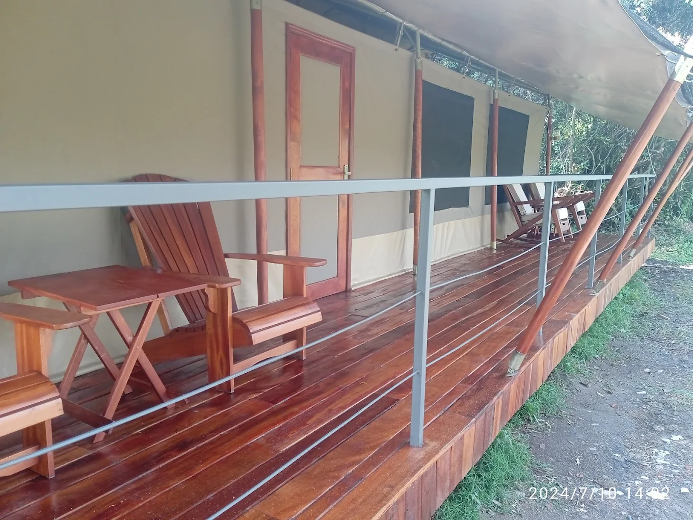 Safari Suite